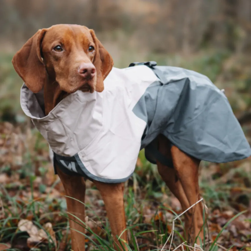 Non-stop Dogwear Chubasquero Impermeable Gris para perros