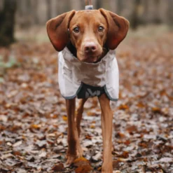 Non-stop Dogwear Chubasquero Impermeable Gris para perros