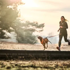 Non-stop Dogwear Cinturón Canicross Negro para perros
