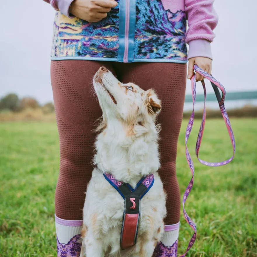 Non-stop Dogwear Correa Morado y Rosa para perros