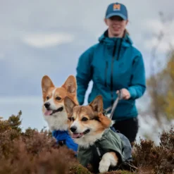 Non-stop dogwear Fjord Chubasquero Impermeable Azul para perros