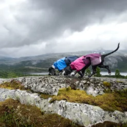 Non-stop dogwear Fjord Chubasquero Impermeable Púrpura para perros