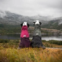 Non-stop dogwear Fjord Chubasquero Impermeable Púrpura para perros