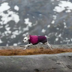 Non-stop dogwear Fjord Chubasquero Impermeable Púrpura para perros