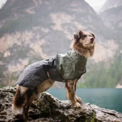 Non-stop dogwear Fjord Chubasquero Impermeable Negro y Verde para perros
