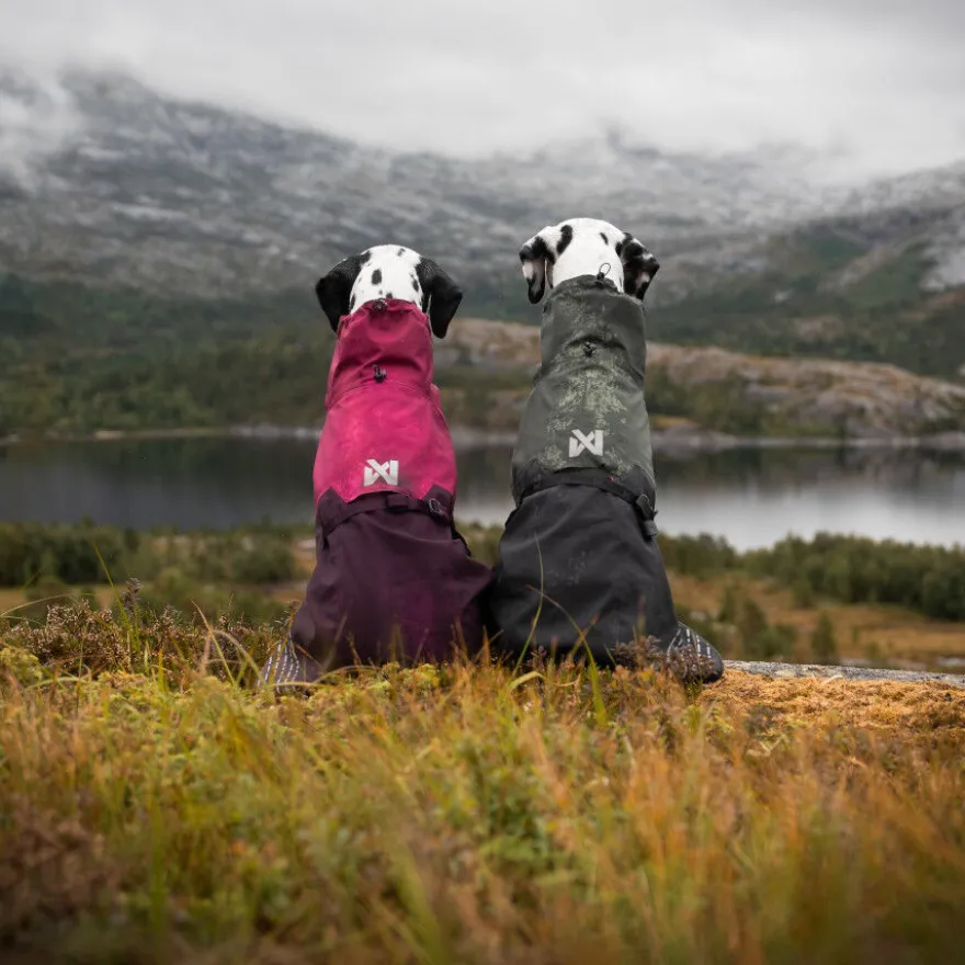 Non-stop dogwear Fjord Chubasquero Impermeable Negro y Verde para perros
