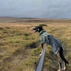 Non-stop dogwear Fjord Chubasquero Impermeable Negro y Verde para perros