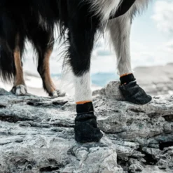 Non-stop dogwear Protector Botín Negro y Naranja para perros