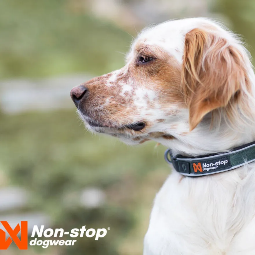 Non-stop dogwear Roam Collar Verde para perros