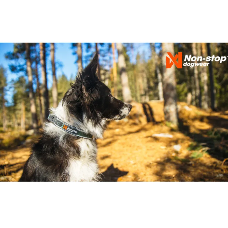 Non-stop dogwear Roam Collar Verde para perros