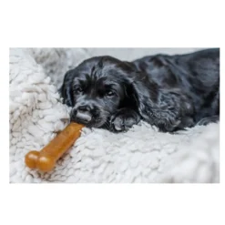 Nylabone Chew Pollo Hueso Mordedor para cachorros