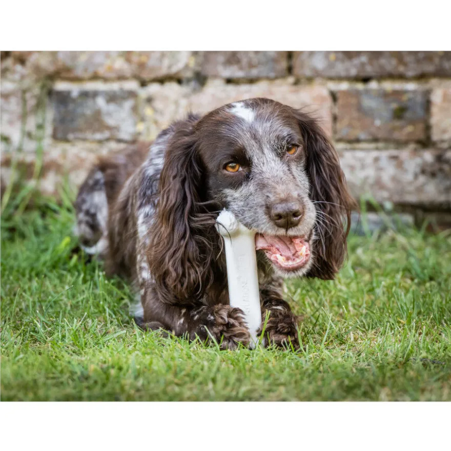 Nylabone Extreme Chew Pollo Hueso Mordedor para perros