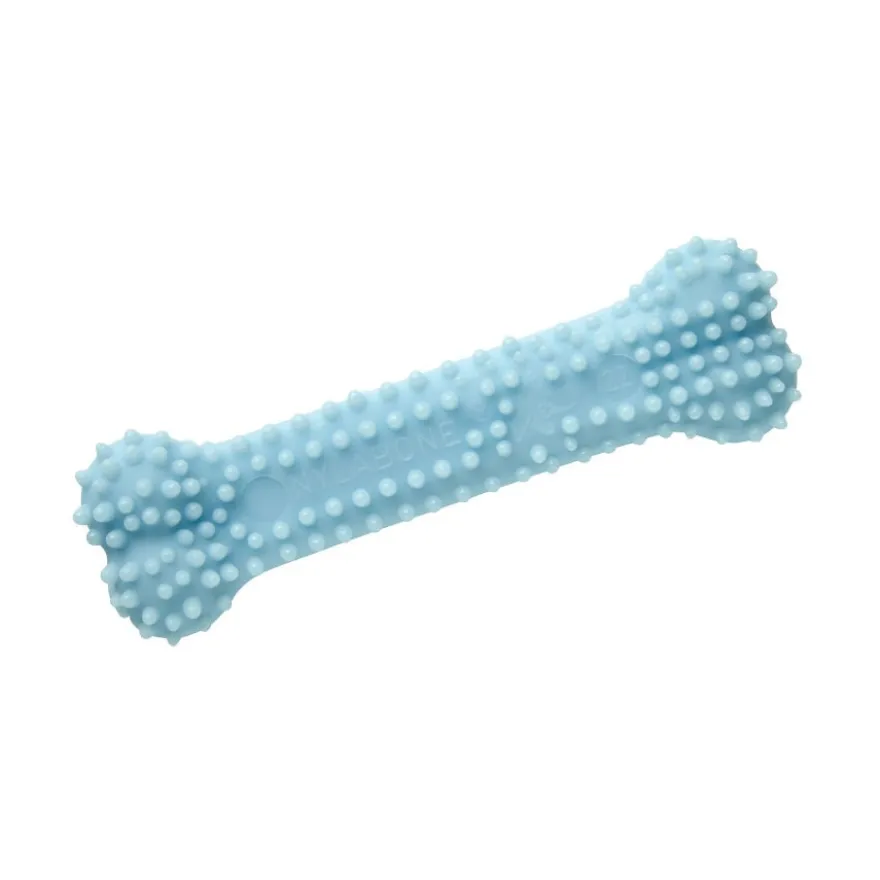 Nylabone Hueso Mordedor Dental Sabor a Pollo para cachorros