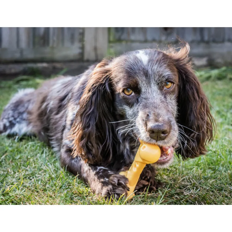 Nylabone Hueso Mordedor Resistente Sabor a Queso para perros