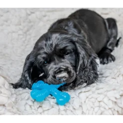 Nylabone Hueso X Mordedor Sabor a Carne para cachorros