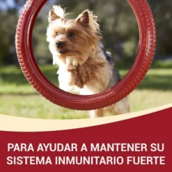 One Adult Mini Small Pollo y Cordero en Salsa sobre para perros