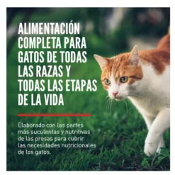Orijen Fit&Trim pienso para gatos