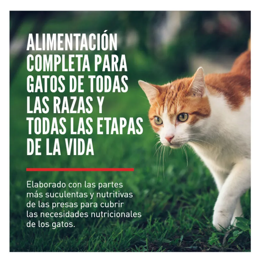 Orijen Fit&Trim pienso para gatos