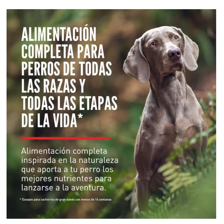 Orijen Fit&Trim pienso para perros