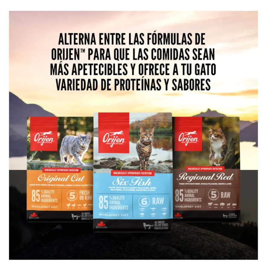Orijen Guardian 8 Pienso para gatos