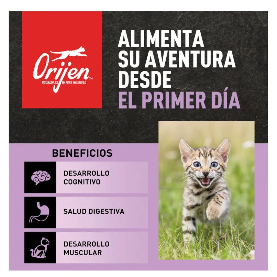 Orijen Kitten Aves y Pescado pienso para gatos