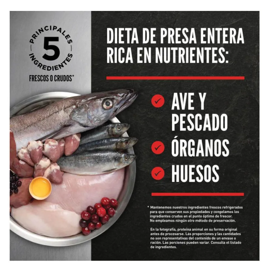 Orijen Kitten Aves y Pescado pienso para gatos
