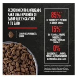 Orijen Original pienso para gatos y gatitos
