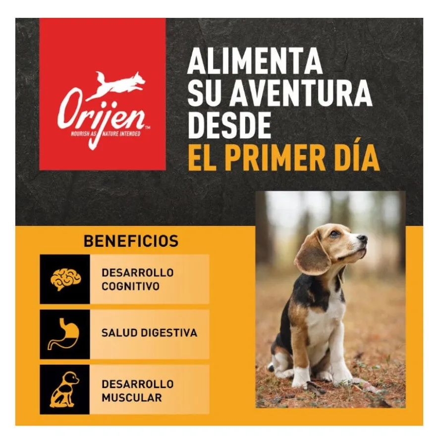 Orijen Puppy Large pienso para perros