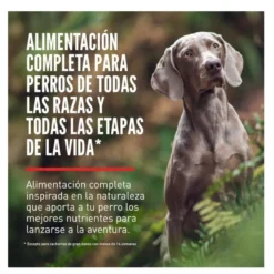 Orijen Regional Red pienso para perros