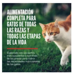 Orijen Six Fish pienso para gatos y gatitos