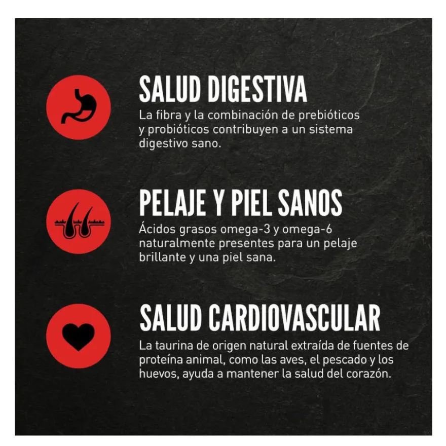 Orijen Six Fish pienso para gatos y gatitos