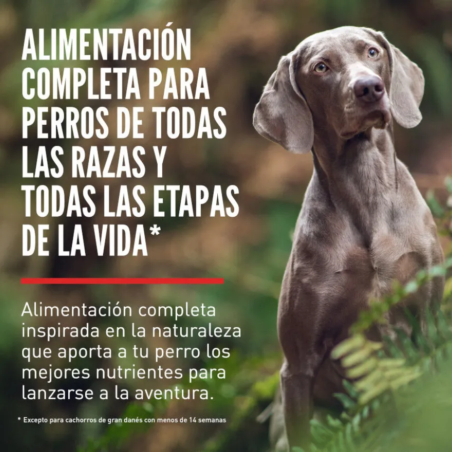 Orijen Tundra Pienso Seco Cordero y Ciervo para perros