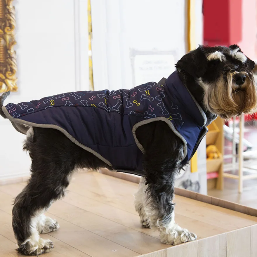 Outech Abrigo Azul con Estampado de Huesos para perros