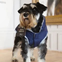 Outech Abrigo Azul con Estampado de Huesos para perros