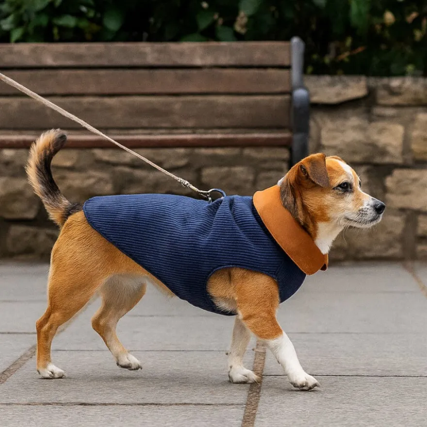 Outech Abrigo Estilo Aviador Rosa y Azul para perros