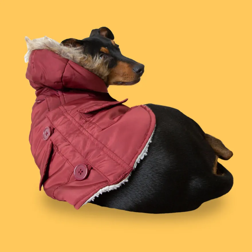 Outech Abrigo Granate con Capucha para perros