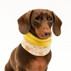 Outech Bufanda Rock para perros