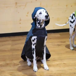 Outech Chubasquero con Estampado de Huesos para perros
