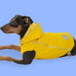 Outech Fisher Impermeable amarillo para perros
