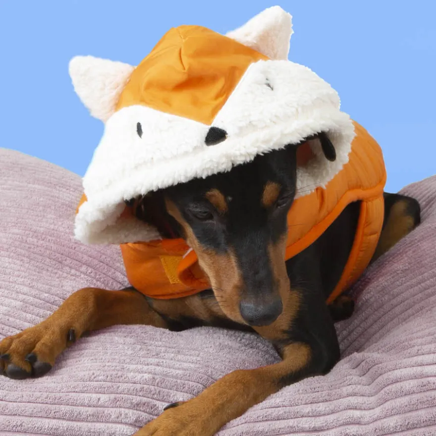 Outech Fox Abrigo para perros