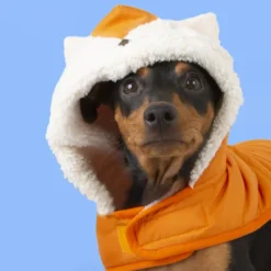 Outech Fox Abrigo para perros