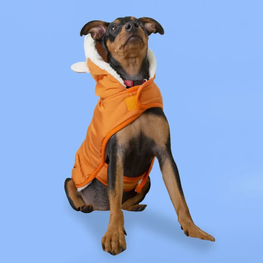 Outech Fox Abrigo para perros