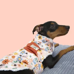 Outech Spring abrigo de flores para perros