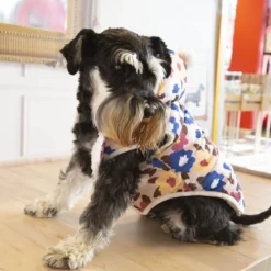 Outech Spring Abrigo para perros