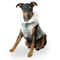 Outech Trenca Azul para perros
