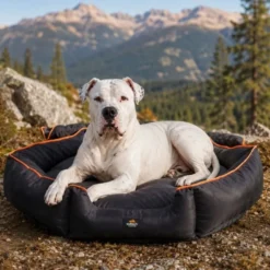 Outech X-perience Cama Plegable para perros