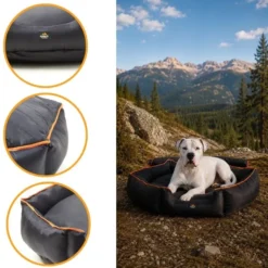 Outech X-perience Cama Plegable para perros