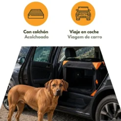 Outech X-perience Transportin Tela Plegable para perros