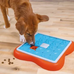 Outward Hound Challenge Slider Rompecabezas de Inteligencia para cachorros