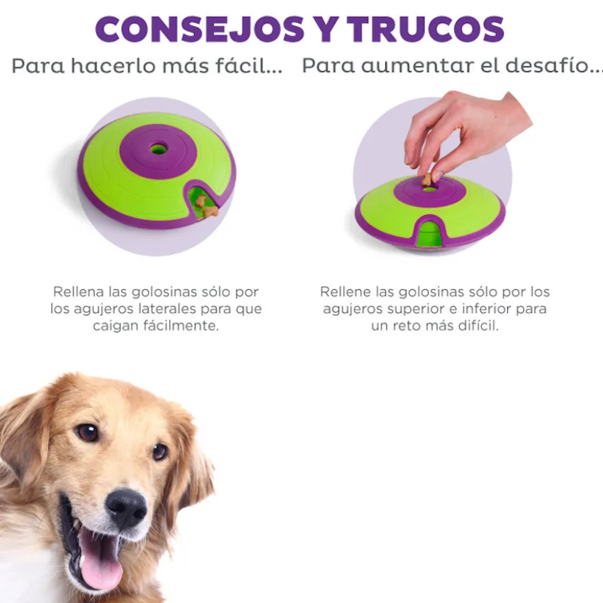 Outward Hound Treat Maze Disco Interactivo para perros